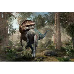 Fototapeta Dinozaur i Palmy – Prehistoryczny Las z Tyranozaurem