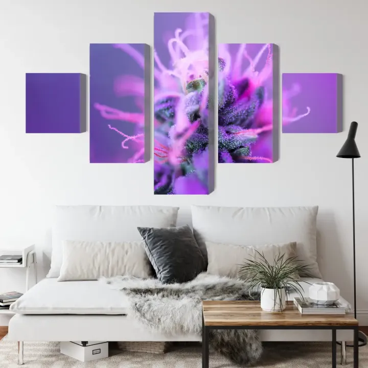 Obraz Roślina Makro – Botaniczna Fotografia na Różowo-Fioletowym Tle