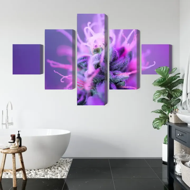Obraz Roślina Makro – Botaniczna Fotografia na Różowo-Fioletowym Tle