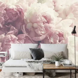 Fototapeta Kwitnące Peonie – Delikatne Kwiaty w Ogród Wiosny