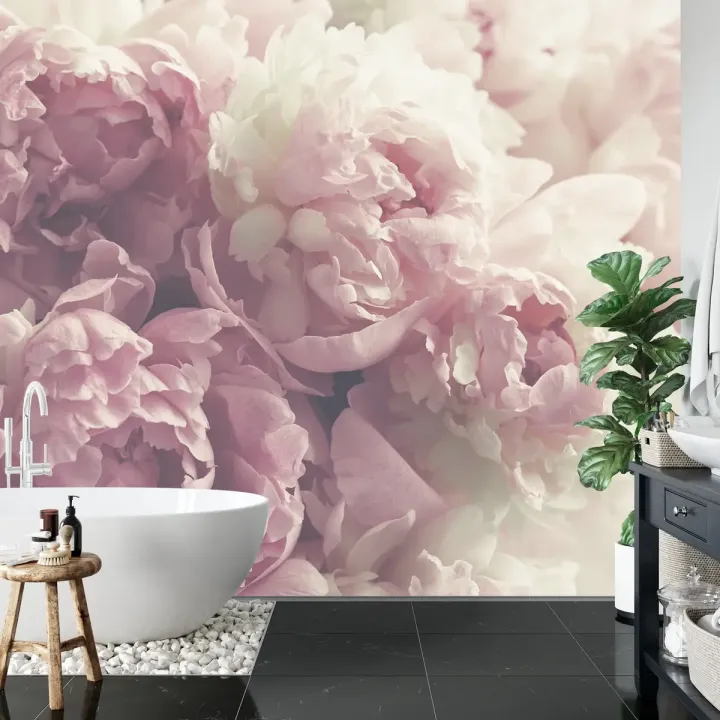 Fototapeta Kwitnące Peonie – Delikatne Kwiaty w Ogród Wiosny