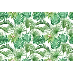 Fototapeta Liście Monstera – Tropikalna Roślinność do Wnętrz