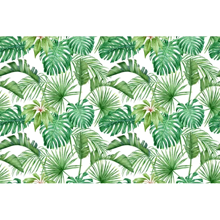 Fototapeta Liście Monstera – Tropikalna Roślinność do Wnętrz – produkt