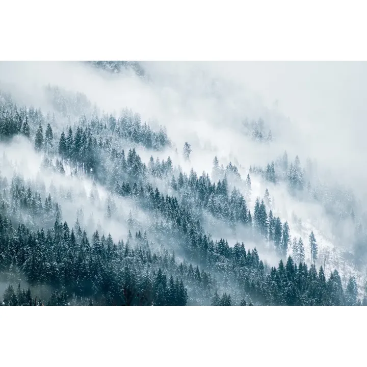 Fototapeta Las – Mglisty Poranek w Śnieżnej Naturze – produkt