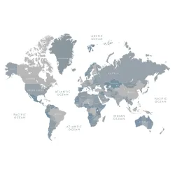 Fototapeta Mapa Świata – Geografia Kontynentów i Oceanów – Odcienie bieli i szarości