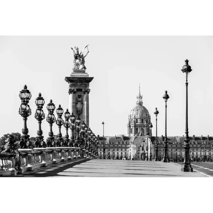 Fototapeta Paryż – Pont Alexandre III i Dôme des Invalides – produkt