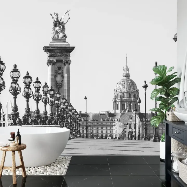 Fototapeta Paryż – Pont Alexandre III i Dôme des Invalides