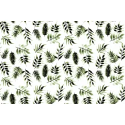 Fototapeta Liście Natura – Botaniczna Zieleń do Wnętrz