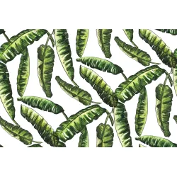 Fototapeta Liście Natura – Tropikalna Roślinność i Dżungla