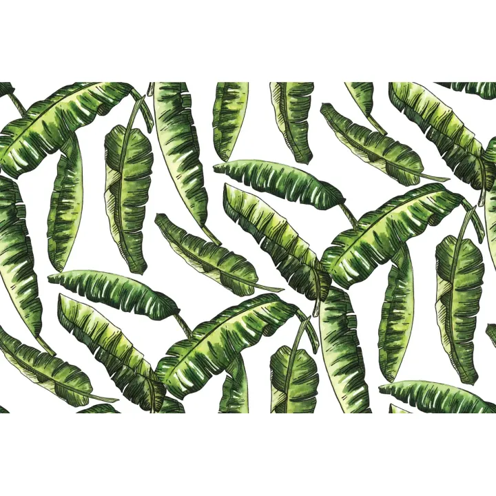 Fototapeta Liście Natura – Tropikalna Roślinność i Dżungla – produkt