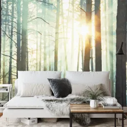 Fototapeta Las – Mglisty Poranek w Zielonej Naturze