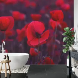 Fototapeta Dzikie Czerwone Maki – Polana o Świcie