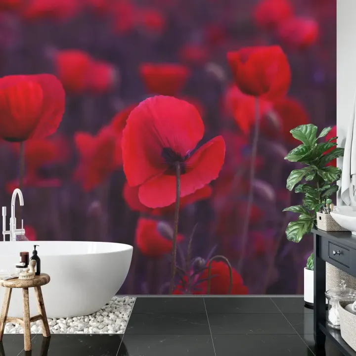 Fototapeta Dzikie Czerwone Maki – Polana o Świcie