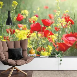 Fototapeta Maki Łąka – Polne Kwiaty i Natura do Wnętrz