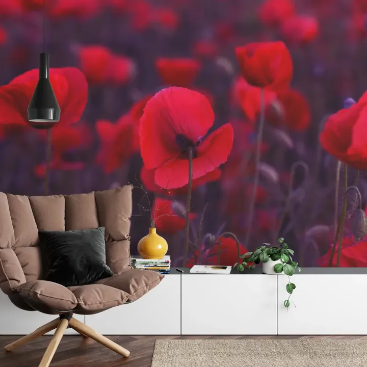 Fototapeta Dzikie Czerwone Maki – Polana o Świcie