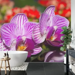 Fototapeta Optyczna Orchidea 3D – Egzotyczny Kwiat Storczyka w Naturze