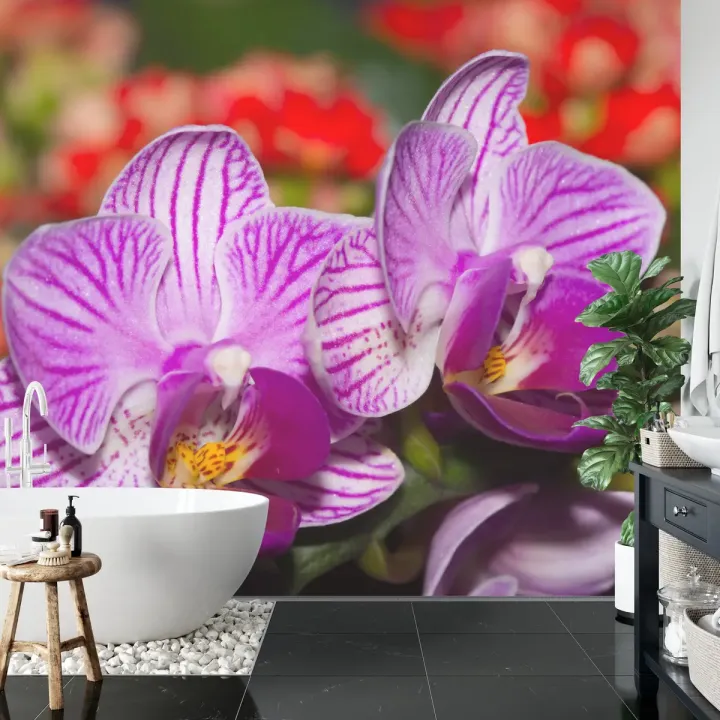 Fototapeta Optyczna Orchidea 3D – Egzotyczny Kwiat Storczyka w Naturze