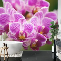 Fototapeta Bukiet Orchidei – Fioletowe Kwiaty i Elegancja Natury