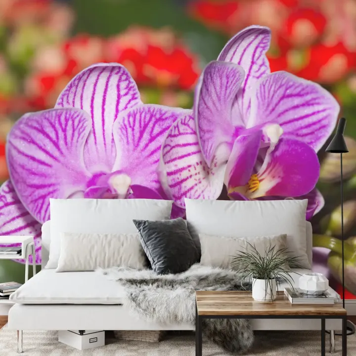 Fototapeta Optyczna Orchidea 3D – Egzotyczny Kwiat Storczyka w Naturze