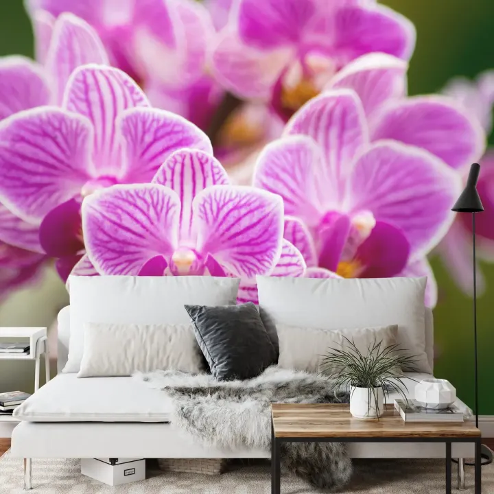 Fototapeta Bukiet Orchidei – Fioletowe Kwiaty i Elegancja Natury