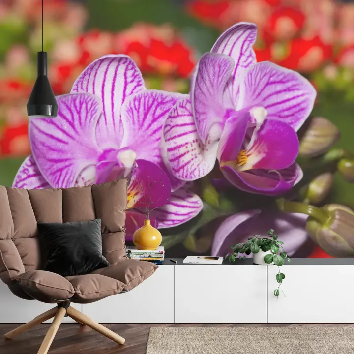 Fototapeta Optyczna Orchidea 3D – Egzotyczny Kwiat Storczyka w Naturze