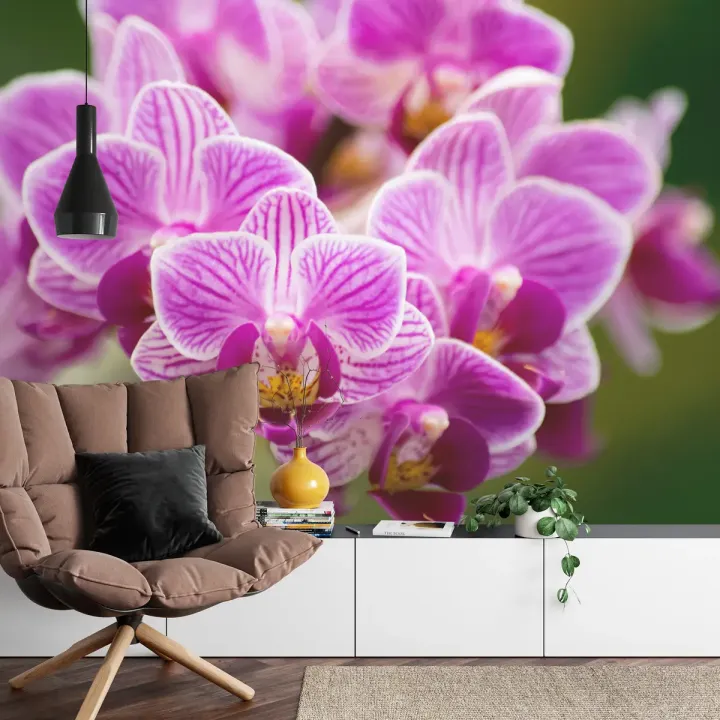 Fototapeta Bukiet Orchidei – Fioletowe Kwiaty i Elegancja Natury