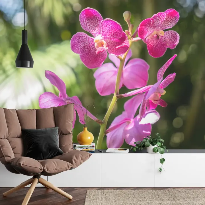 Fototapeta Orchidee – Różowe i Białe Kwiaty w Botanicznym Motywie