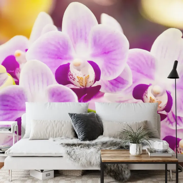 Fototapeta Tropikalna Orchidea – Egzotyczna Roślinność do Wnętrz