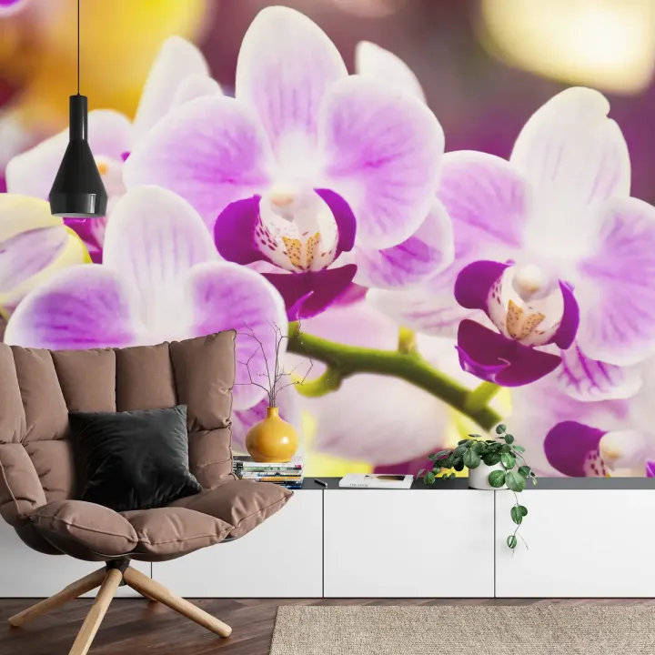 Fototapeta Tropikalna Orchidea – Egzotyczna Roślinność do Wnętrz