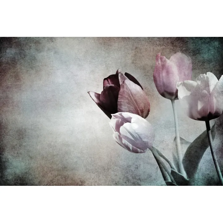 Fototapeta Tulipany – Wiosenny Motyw Kwiatowy w Stylu Vintage – produkt