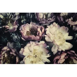 Fototapeta Kolorowe Piwonie – Vintage Kwiaty w Stylu Boho