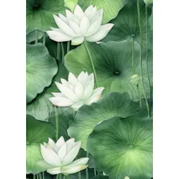 Plakat Kwiat Lotosu – Symbol Harmonii i Spokoju Zen