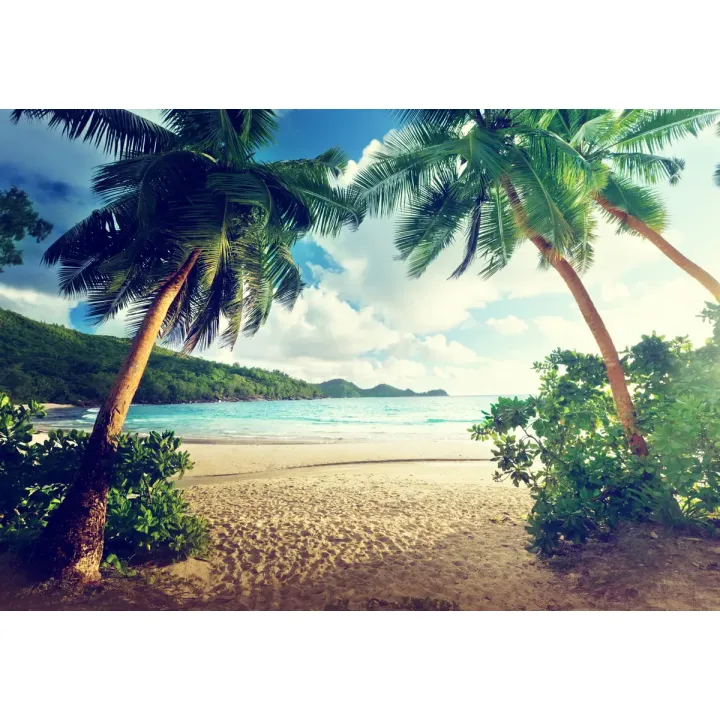 Fototapeta Palmy Na Seszelach – Rajska Plaża i Tropikalne Wakacje – produkt