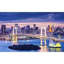 Fototapeta Tęczowy Most w Tokio – Panorama Japońskiej Metropolii