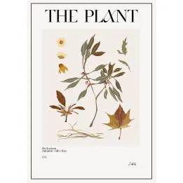 Plakat Atlas Jesiennych Liści – Botaniczne Detale Natury