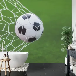 Fototapeta Piłka Nożna – Gol na Stadionie i Zielone Boisko