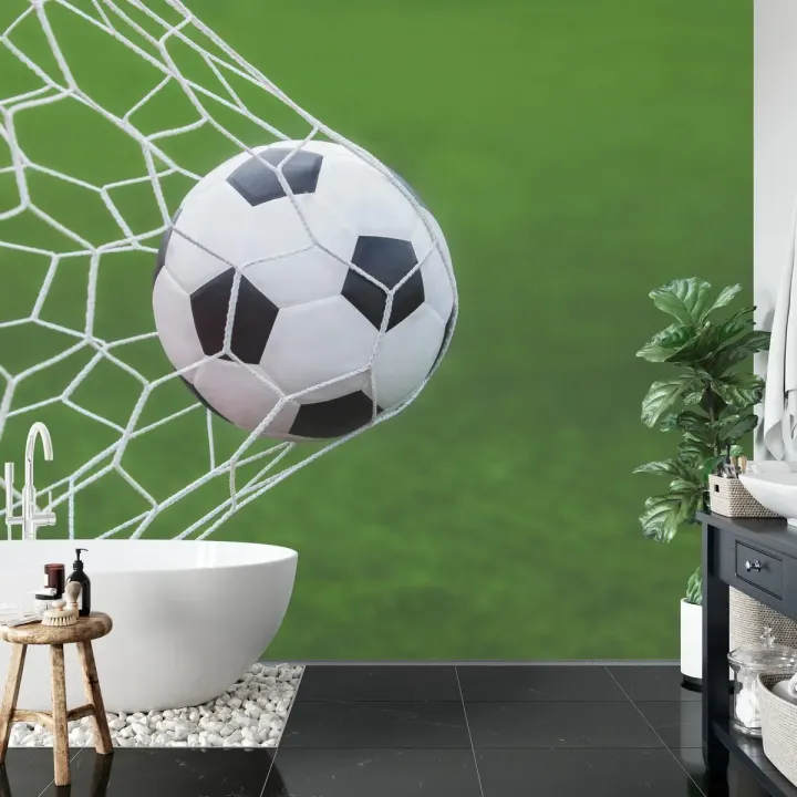Fototapeta Piłka Nożna – Gol na Stadionie i Zielone Boisko
