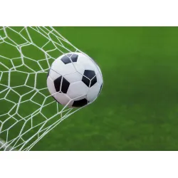 Fototapeta Piłka Nożna – Gol na Stadionie i Zielone Boisko