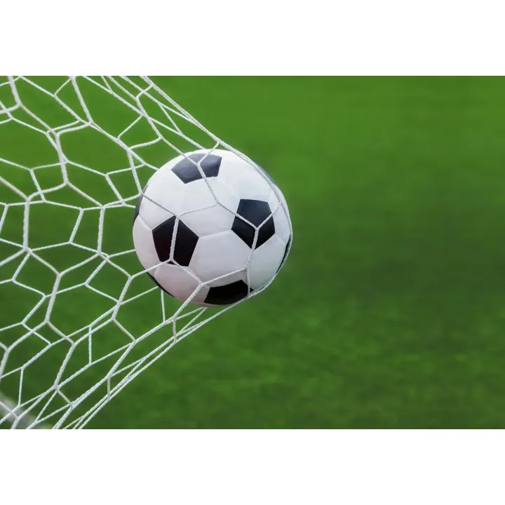 Fototapeta Piłka Nożna – Gol na Stadionie i Zielone Boisko – produkt