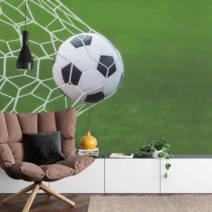 Fototapeta Piłka Nożna – Gol na Stadionie i Zielone Boisko