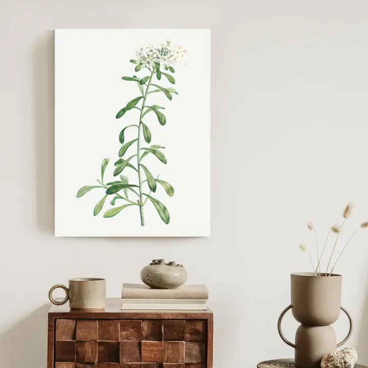 Plakat Mała Roślinka – Minimalistyczna Botanika do Wnętrz