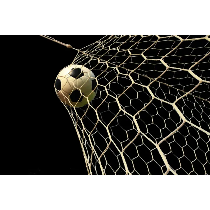 Fototapeta Piłka Nożna – Akcja Sportowa na Bramce – produkt