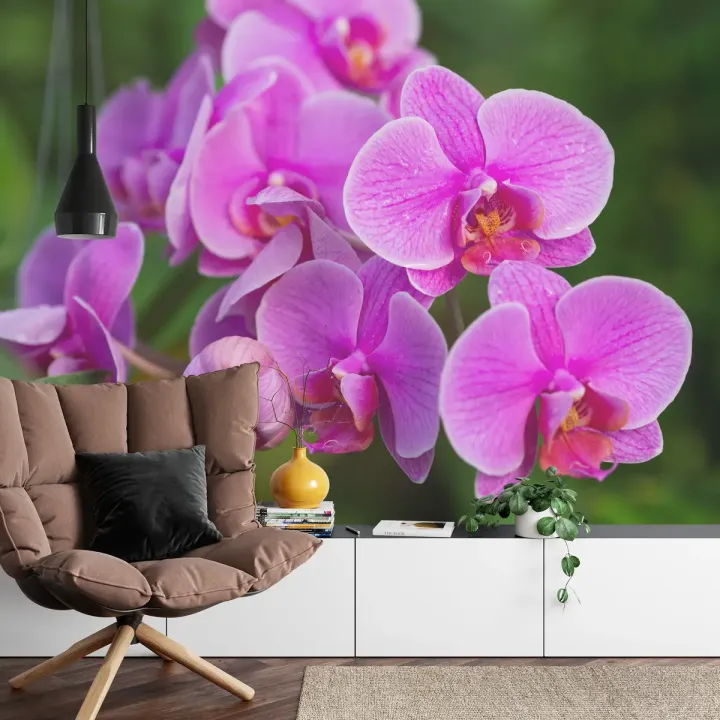 Fototapeta Kwiaty Orchidei 3D – Egzotyczna Roślinność do Wnętrz