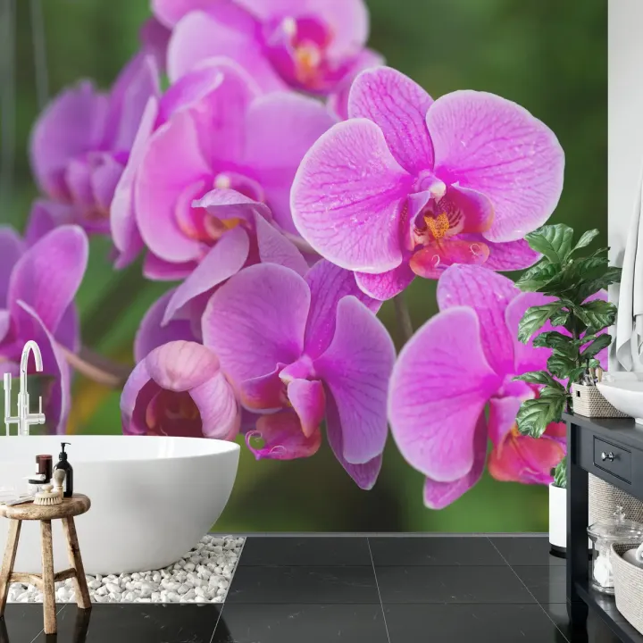 Fototapeta Kwiaty Orchidei 3D – Egzotyczna Roślinność do Wnętrz