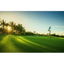 Fototapeta Pole Golfowe O Wschodzie Słońca – Tropikalny Krajobraz i Poranna Gra