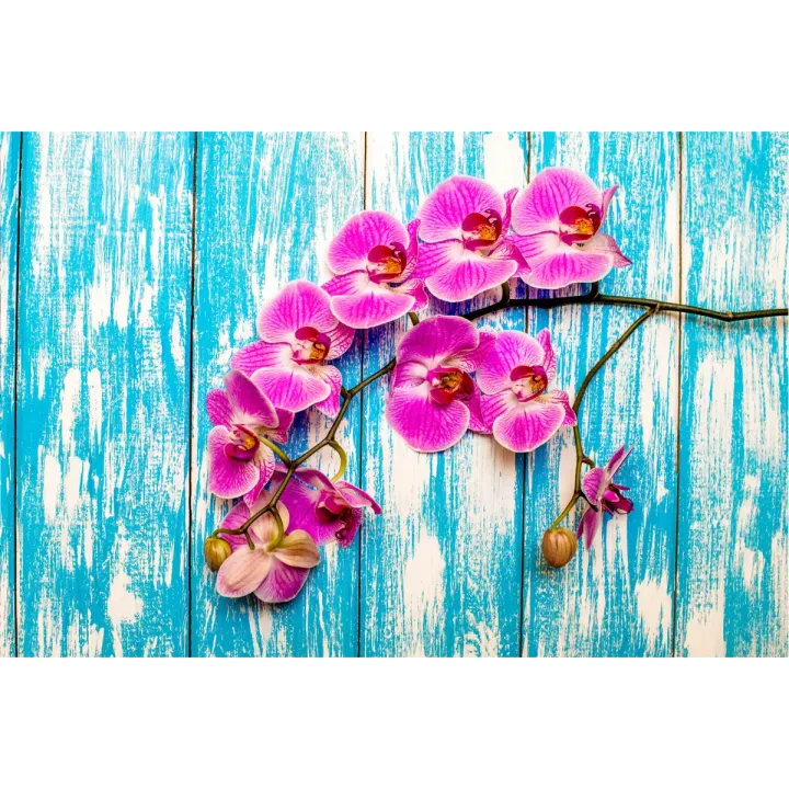 Fototapeta Orchidee – Kwiaty na Drewnie w Stylu Botanicznym – produkt