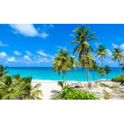 Fototapeta Plaża Ocean Palmy – Tropikalny Raj na Wakacje – Odcienie bieli i zieleni