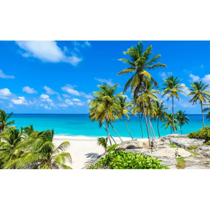 Fototapeta Plaża Ocean Palmy – Tropikalny Raj na Wakacje – produkt