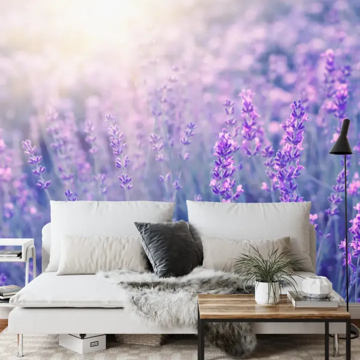 Fototapeta Lawenda – Prowansalska Łąka Kwietna w Stylu Boho