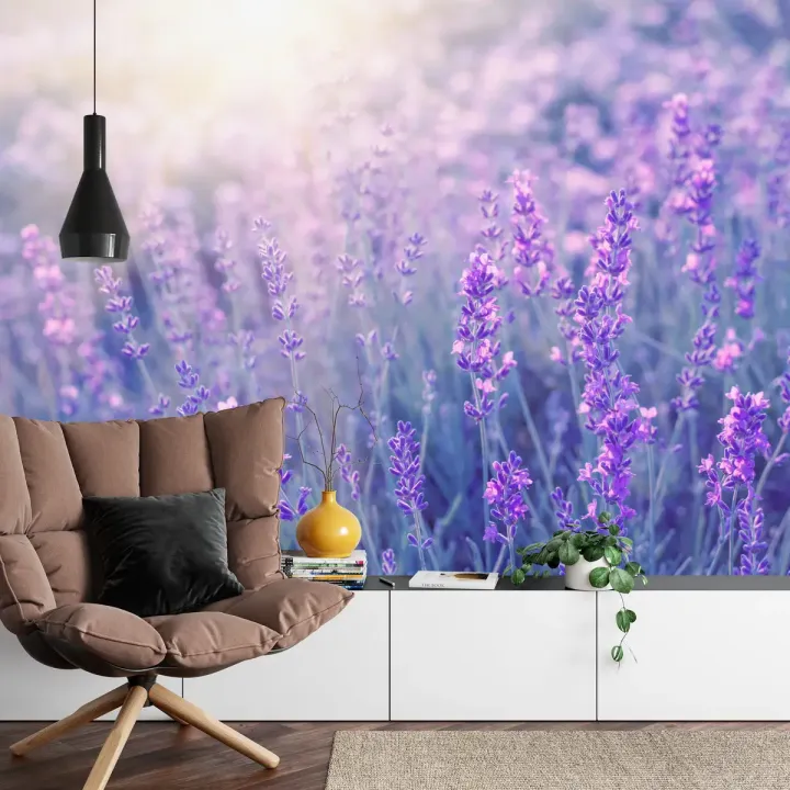 Fototapeta Lawenda – Prowansalska Łąka Kwietna w Stylu Boho